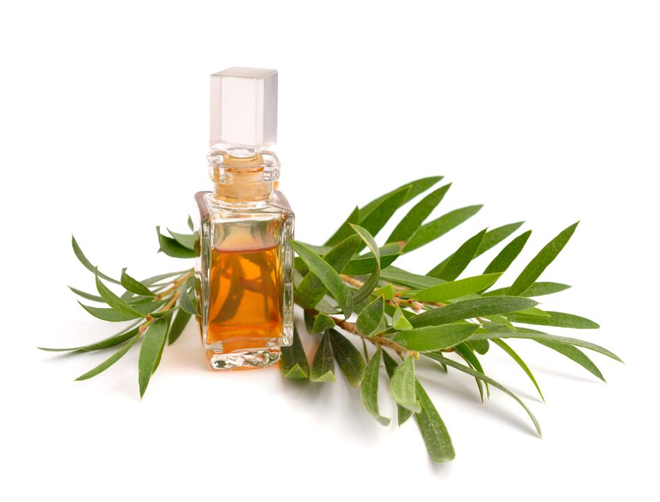 Tea zuhaitz olioa Hondroine gel gisa